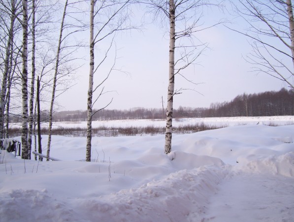 Blick über den riesigen See