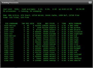 Display System Processes