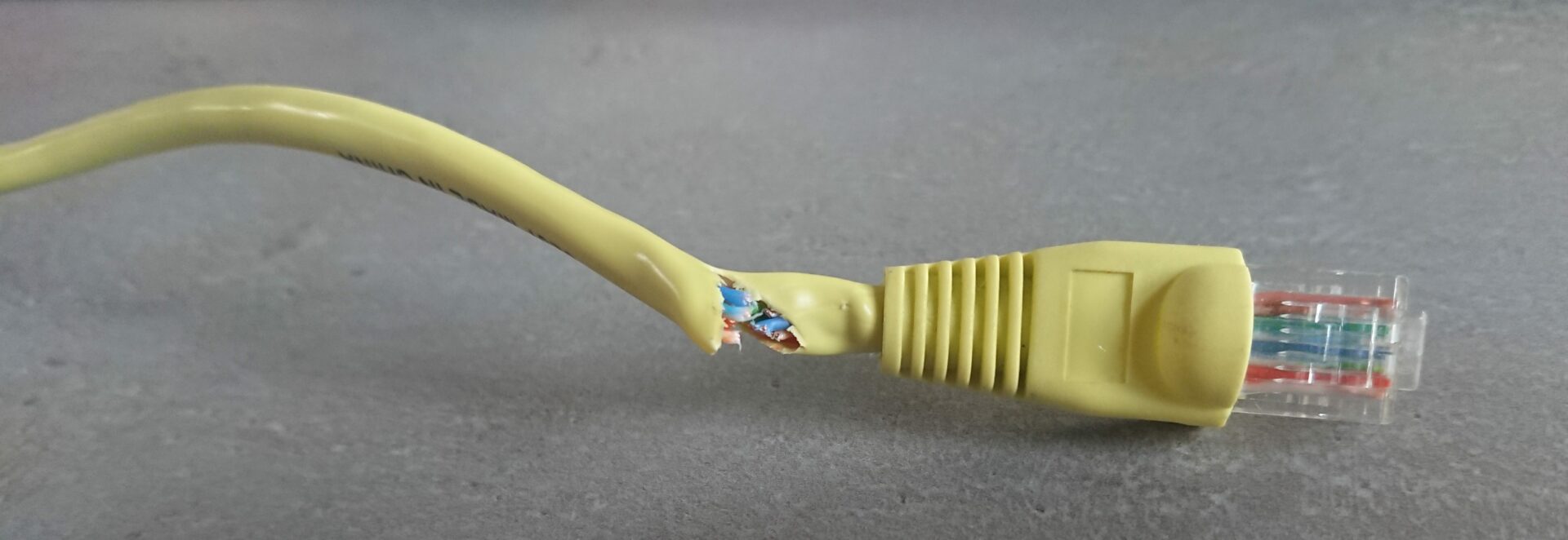 Durchgeschnittenes Netzwerkkabel (Symbolbild)