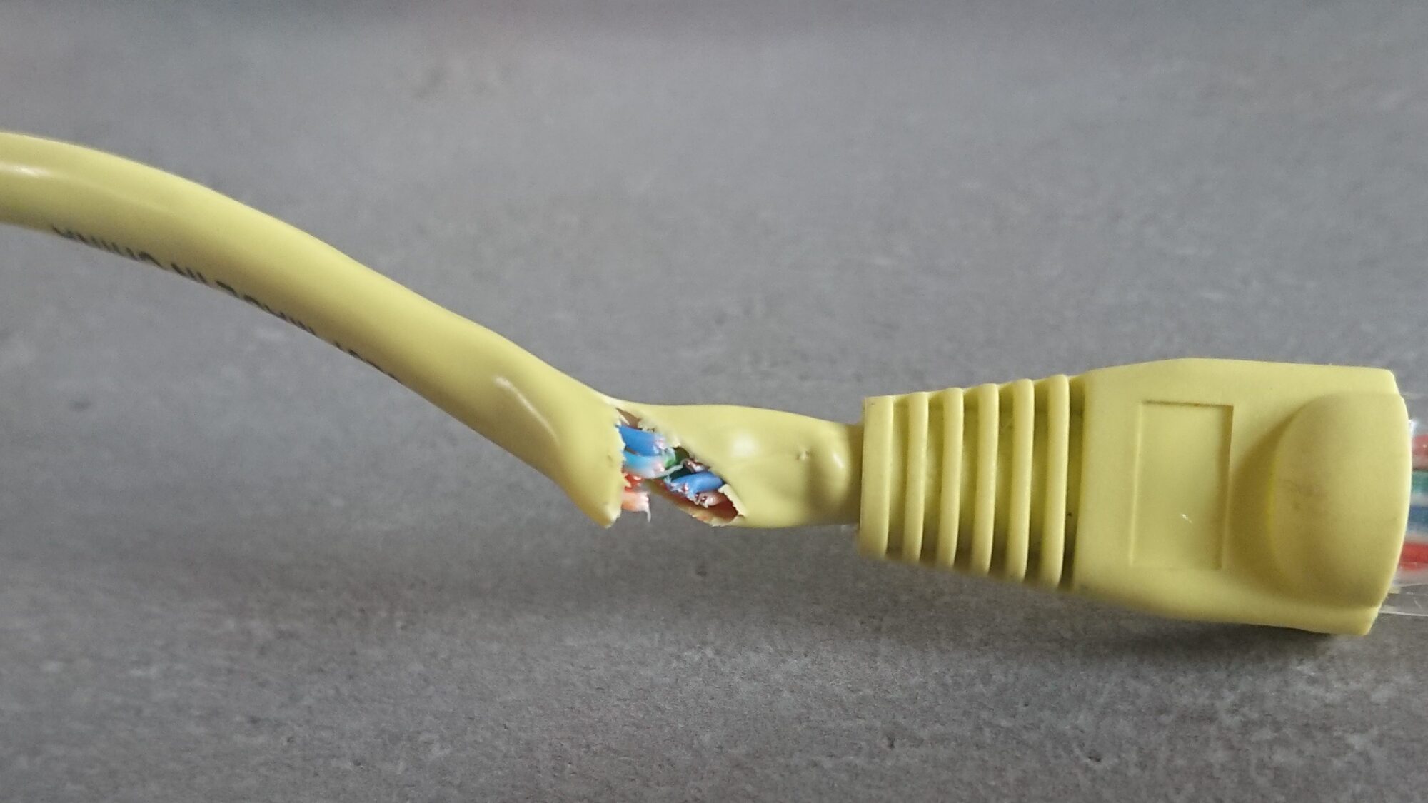 Durchgeschnittenes Netzwerkkabel (Symbolbild)