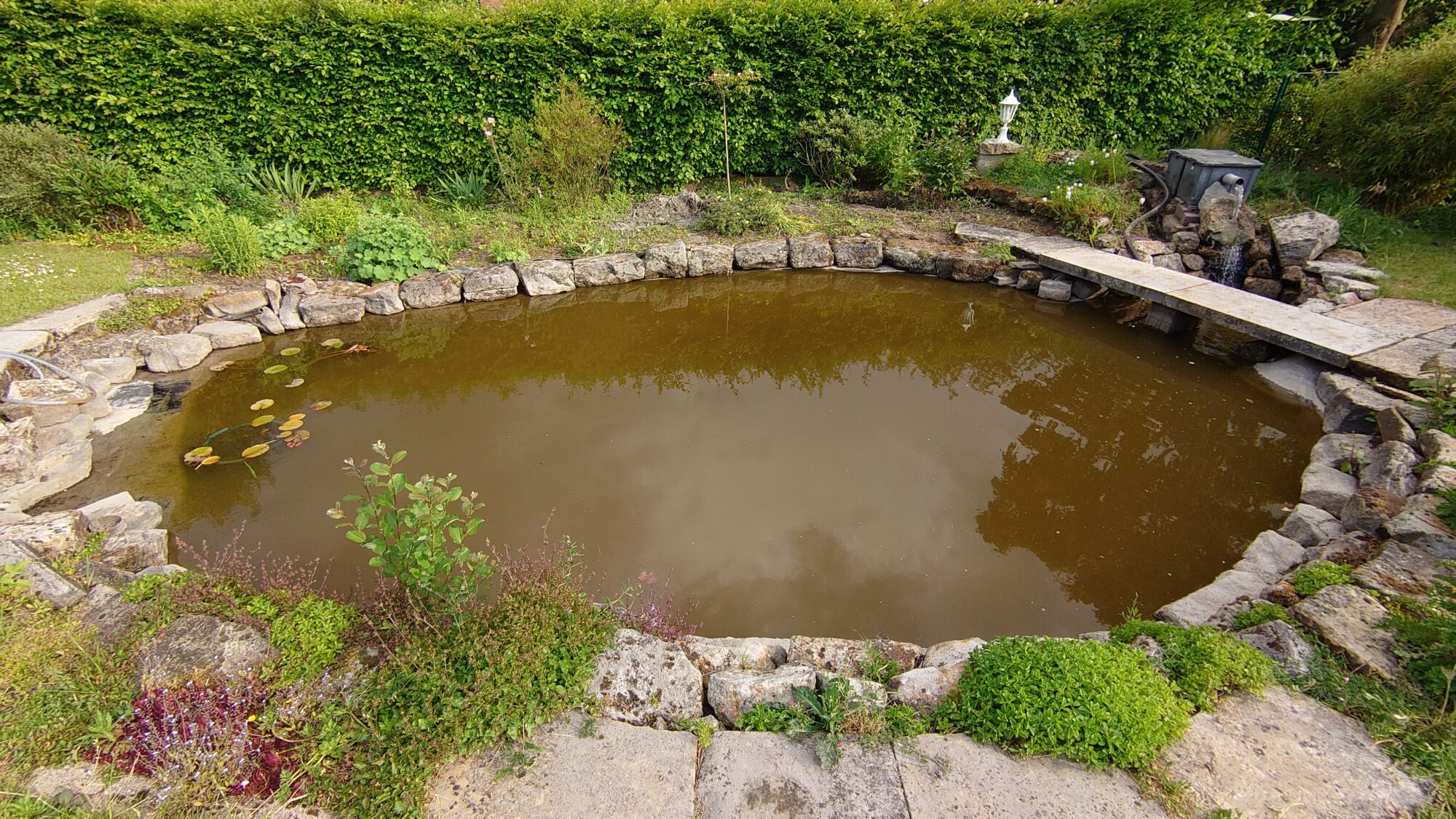 Weitwinkelaufnahmen des Teichs