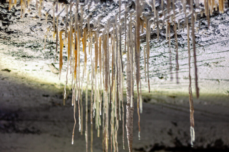 Water ingress forming beautiful lime structures hanging from the ceiling