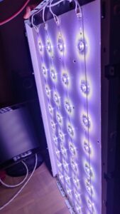 Test der LED-Hintergrundbeleuchtung (die lila Färbung ist auf amoklaufenden Weißabgleich der Kamera zurückzuführen)